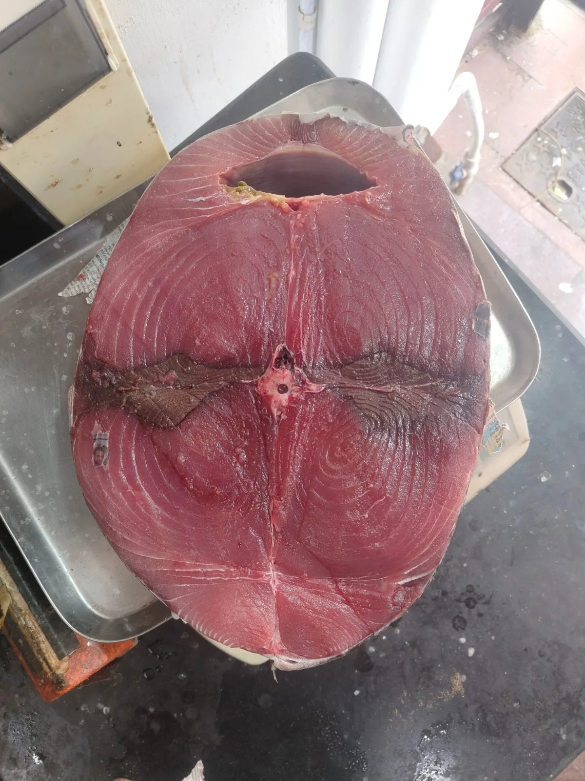 Fresh Yellowfin Tuna Cut piece, Trivandrum